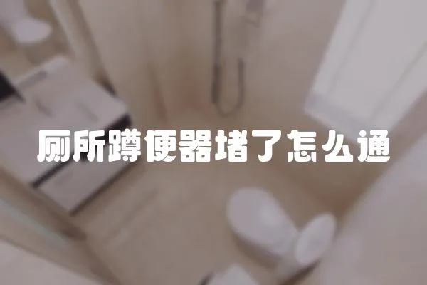 廁所蹲便器堵了怎么通