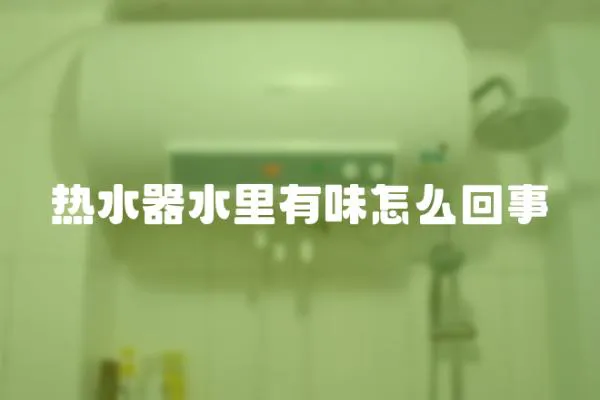 熱水器水里有味怎么回事
