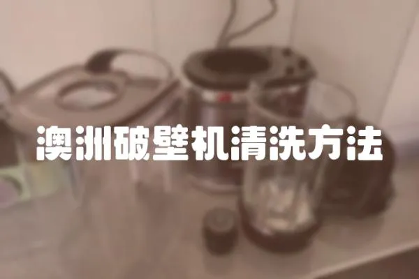 澳洲破壁機清洗方法
