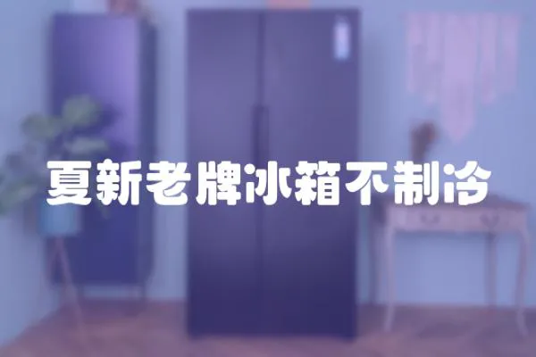 夏新老牌冰箱不制冷