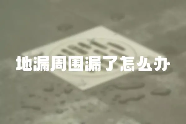 地漏周圍漏了怎么辦