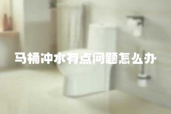 馬桶沖水有點問題怎么辦