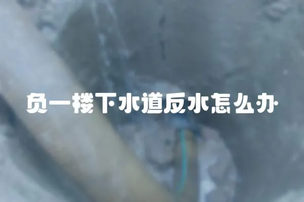 負一樓下水道反水怎么辦