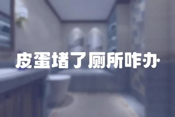 皮蛋堵了廁所咋辦