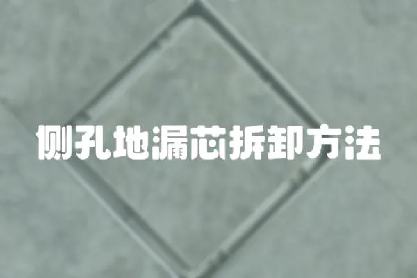 側孔地漏芯拆卸方法