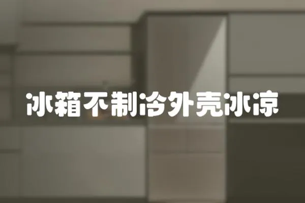 冰箱不制冷外殼冰涼