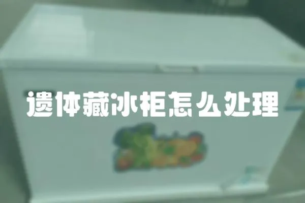 遺體藏冰柜怎么處理