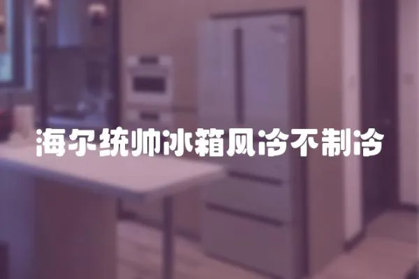 海爾統帥冰箱風冷不制冷