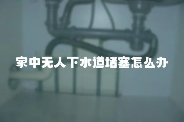 家中無人下水道堵塞怎么辦