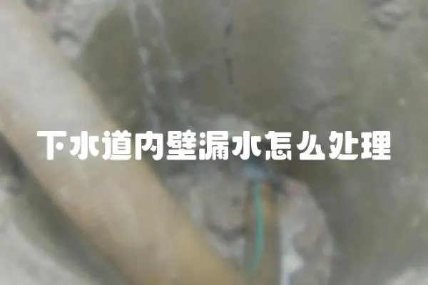 下水道內壁漏水怎么處理