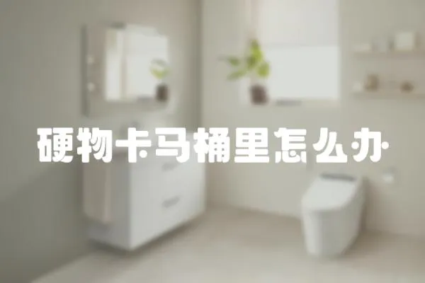 硬物卡馬桶里怎么辦