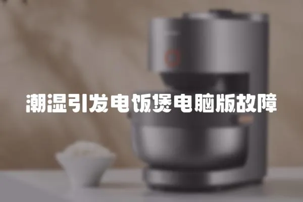 潮濕引發(fā)電飯煲電腦版故障