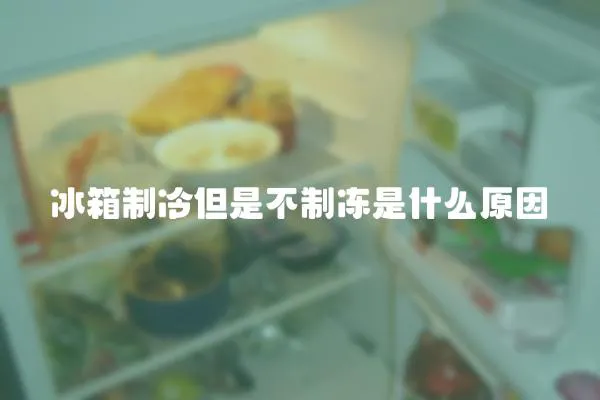 冰箱制冷但是不制凍是什么原因