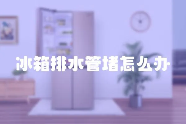 冰箱排水管堵怎么辦