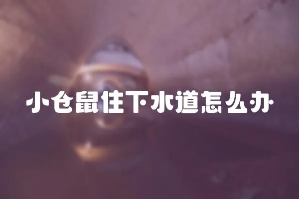 小倉鼠住下水道怎么辦