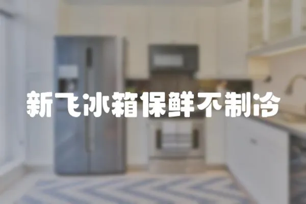 新飛冰箱保鮮不制冷