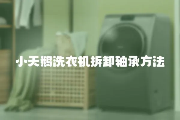小天鵝洗衣機(jī)拆卸軸承方法