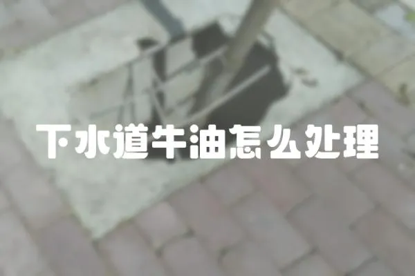 下水道牛油怎么處理