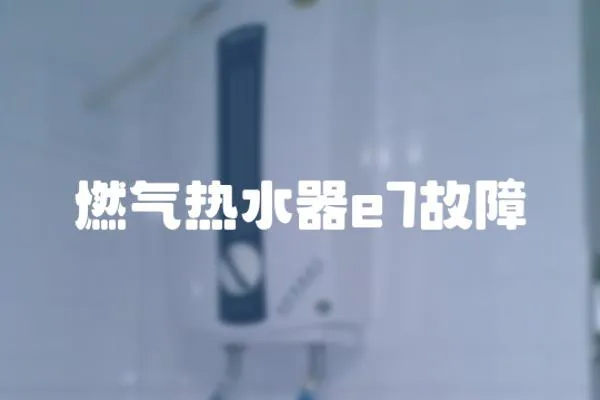 燃?xì)鉄崴鱡7故障