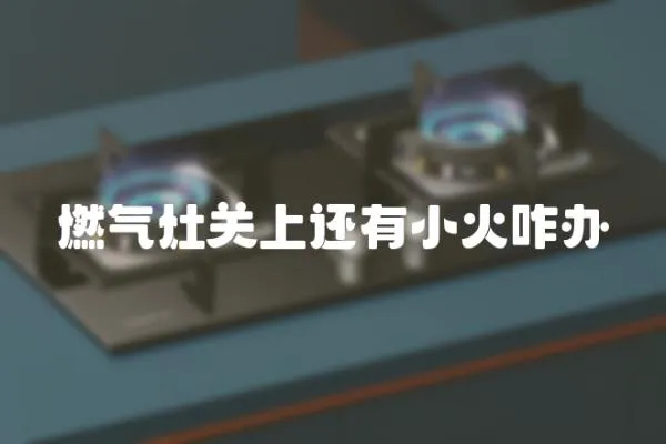 燃氣灶關上還有小火咋辦