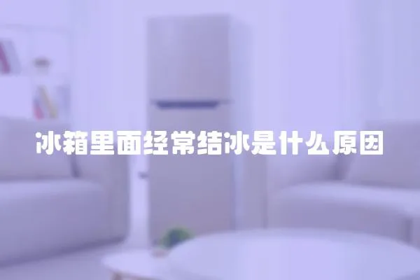 冰箱里面經(jīng)常結(jié)冰是什么原因