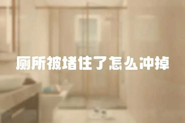 廁所被堵住了怎么沖掉