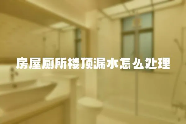 房屋廁所樓頂漏水怎么處理