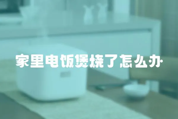 家里電飯煲燒了怎么辦