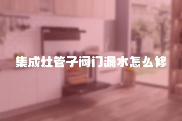 集成灶管子閥門漏水怎么修