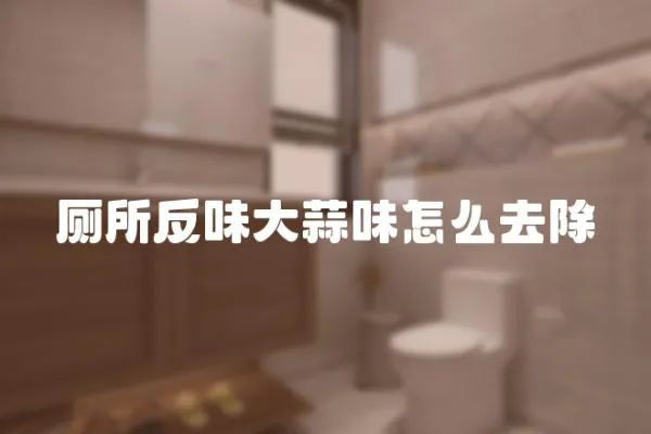 廁所反味大蒜味怎么去除