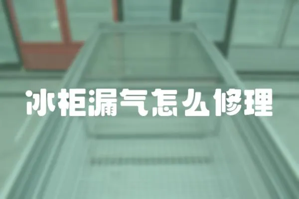 冰柜漏氣怎么修理