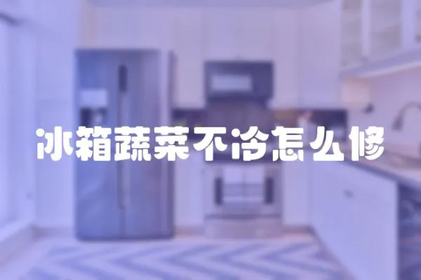 冰箱蔬菜不冷怎么修