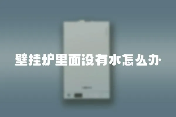 壁掛爐里面沒有水怎么辦