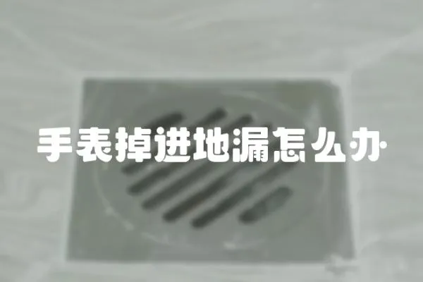 手表掉進地漏怎么辦