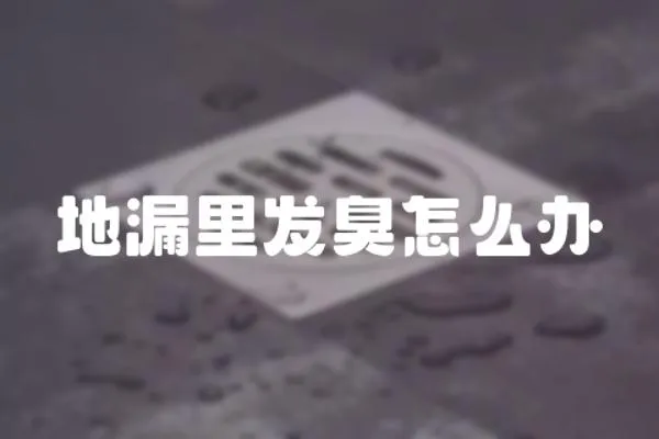 地漏里發(fā)臭怎么辦