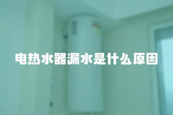 电热水器漏水是什么原因