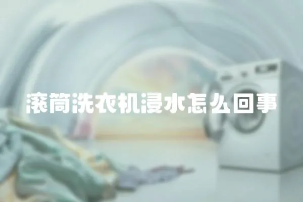 滾筒洗衣機(jī)浸水怎么回事