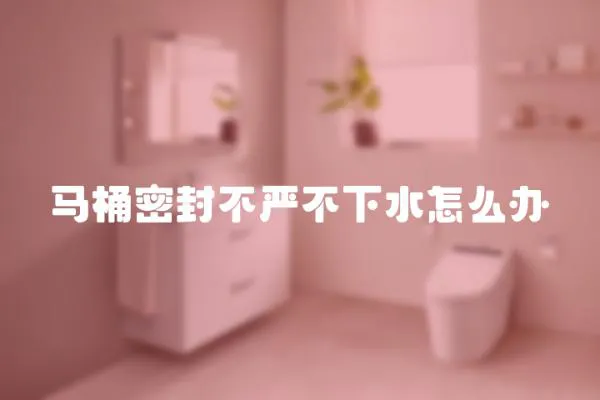 馬桶密封不嚴不下水怎么辦