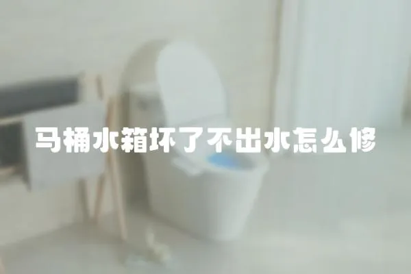 馬桶水箱壞了不出水怎么修