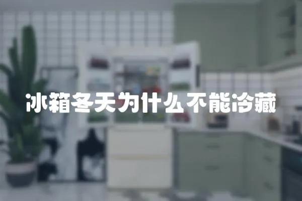 冰箱冬天為什么不能冷藏