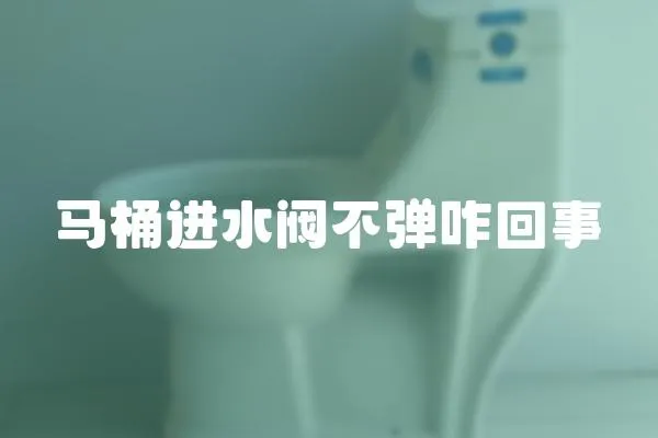 馬桶進水閥不彈咋回事
