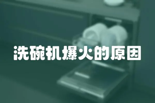 洗碗機爆火的原因