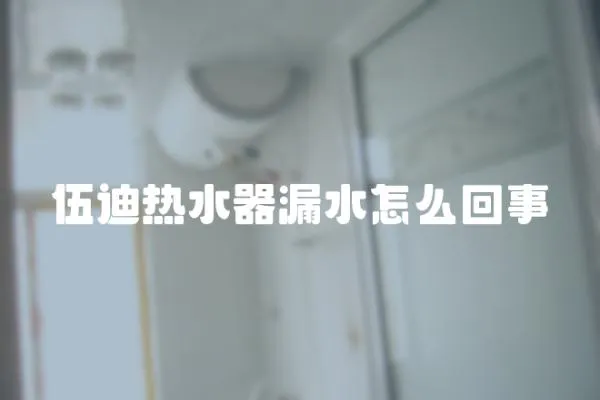 伍迪热水器漏水怎么回事