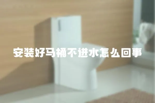 安裝好馬桶不進水怎么回事