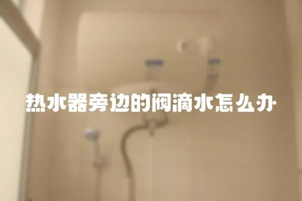 熱水器旁邊的閥滴水怎么辦