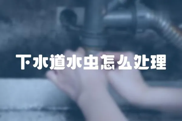 下水道水蟲怎么處理