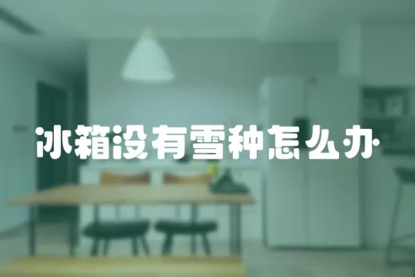 冰箱沒有雪種怎么辦