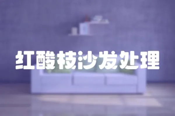 紅酸枝沙發處理
