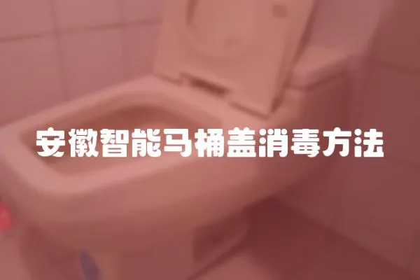 安徽智能馬桶蓋消毒方法