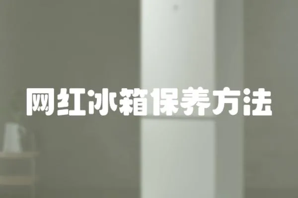 網紅冰箱保養方法